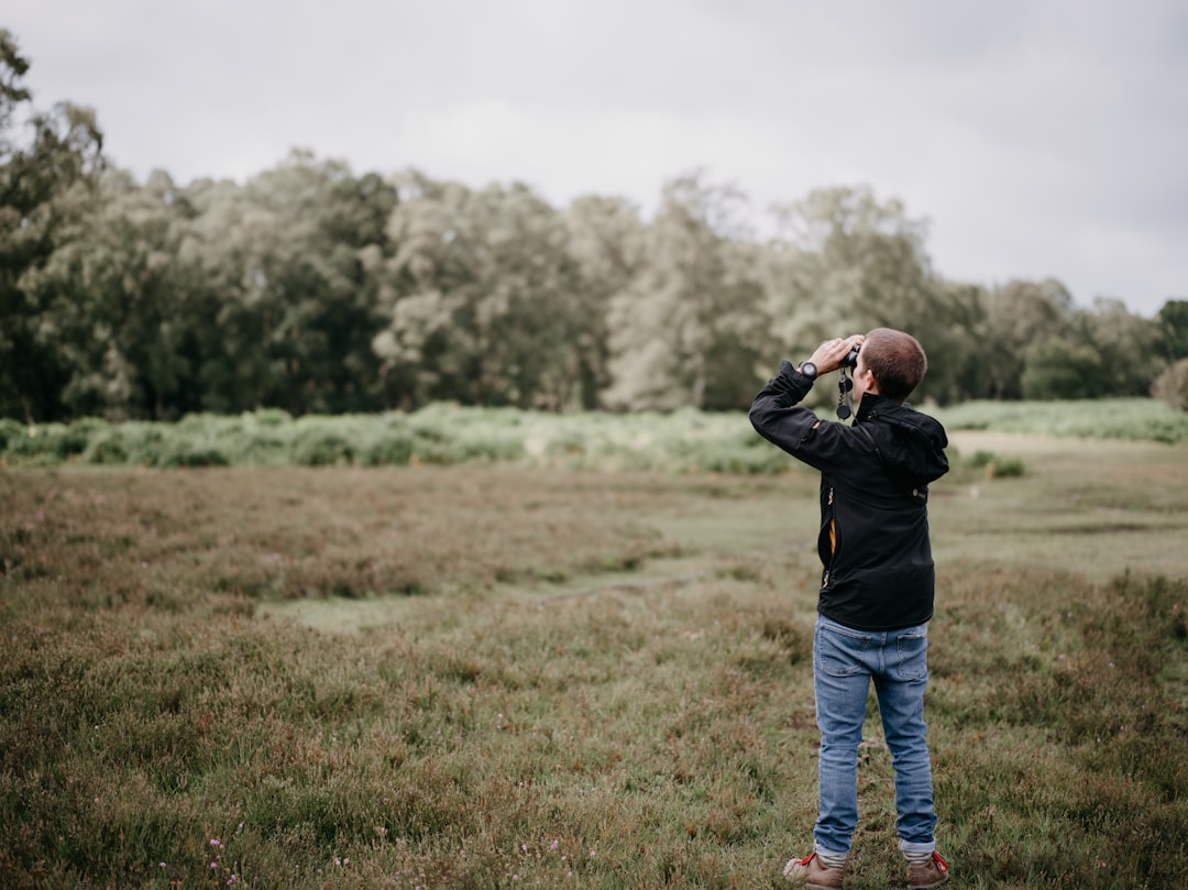 Bird watching in nature